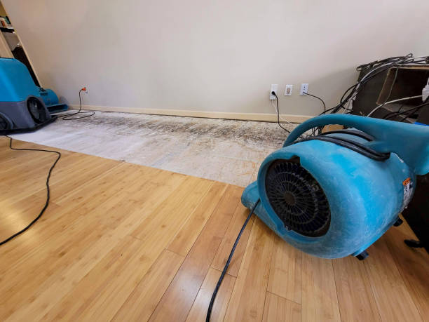 Professional Flood Damage Cleanup technician working in Elgin, SC